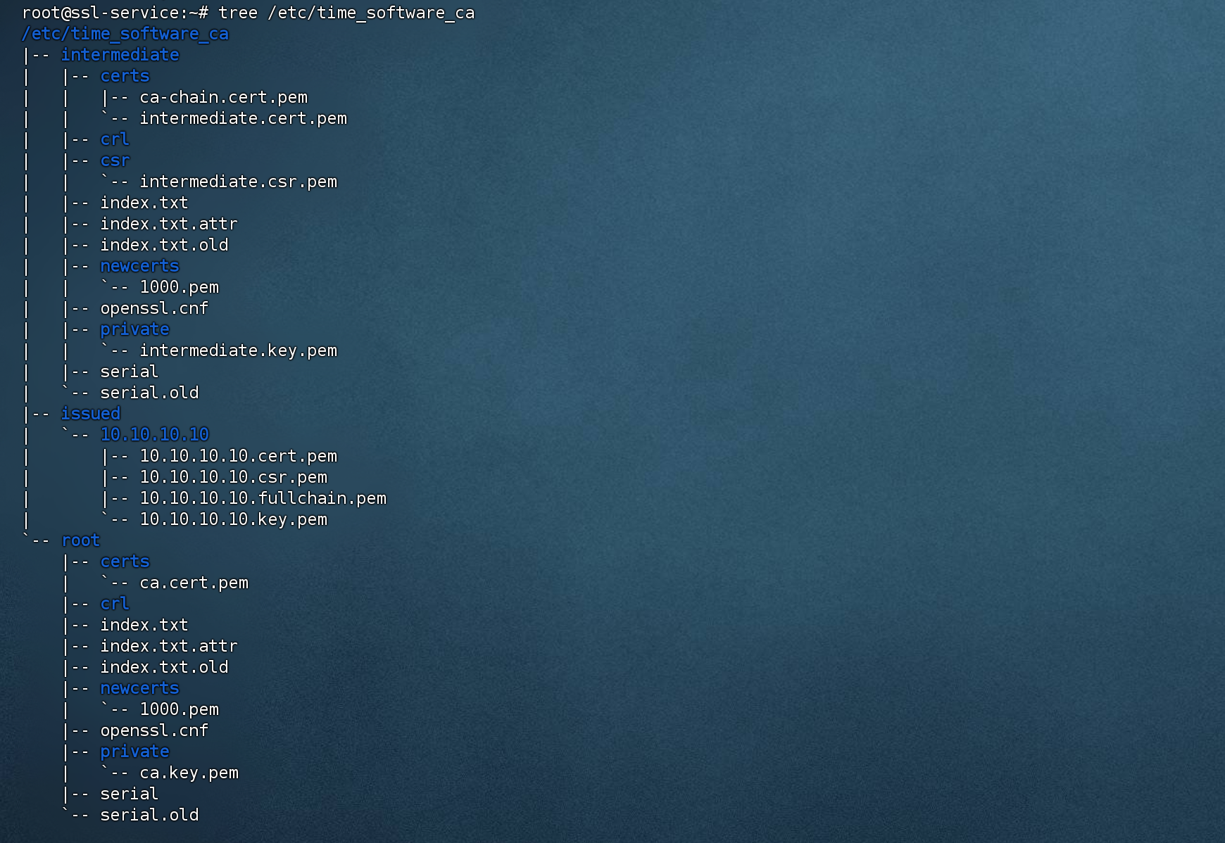 CA 目录结构图 CA 目录结构图